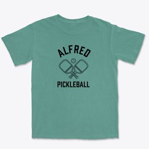 Alfred Ohio Pickleball Premium Heavyweight T-shirt
