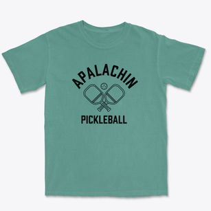 Apalachin New York Pickleball Premium Heavyweight T-shirt