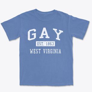 Gay West Virginia Classic Established Premium Heavyweight T-shirt