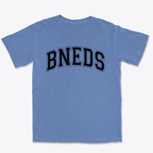 Bishop Noland Episcopal Day School Varsity Arch Premium Heavyweight T-shirt