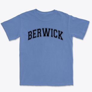 Berwick Junior High School Varsity Arch Premium Heavyweight T-shirt