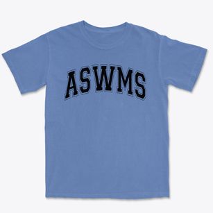 Albert S Woodward Memorial School Varsity Arch Premium Heavyweight T-shirt