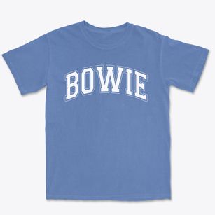 Bowie Elementary School Varsity Arch Premium Heavyweight T-shirt