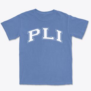 Professional Learning Institute Varsity Arch Premium Heavyweight T-shirt