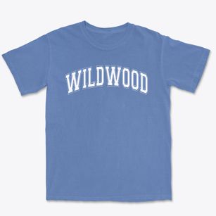 Wildwood Elementary School Varsity Arch Premium Heavyweight T-shirt