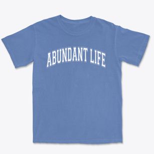 Abundant Life Christian Academy Varsity Arch Premium Heavyweight T-shirt