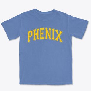 Phenix Elementary School Varsity Arch Premium Heavyweight T-shirt