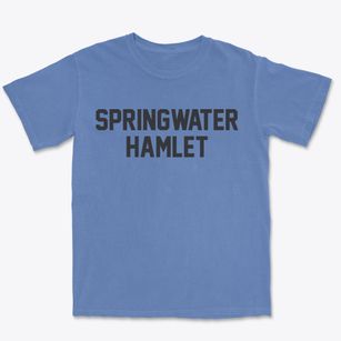 Springwater Hamlet New York Classic Block Premium Heavyweight T-shirt