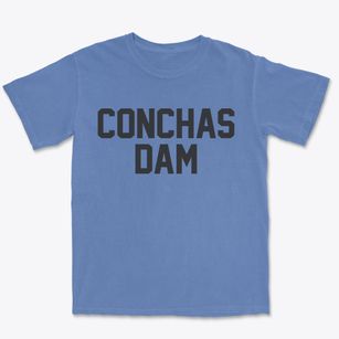 Conchas Dam New Mexico Classic Block Premium Heavyweight T-shirt