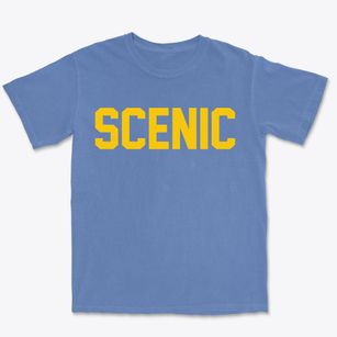 Scenic Arizona Classic Block Premium Heavyweight T-shirt