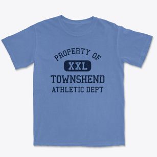 Townshend Vermont Athletic Dept Premium Heavyweight T-shirt