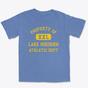Lake Roesiger Washington Athletic Dept Premium Heavyweight T-shirt