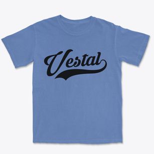 Vestal New York Vintage Team Premium Heavyweight T-shirt