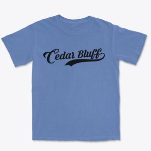 Cedar Bluff Virginia Vintage Team Premium Heavyweight T-shirt