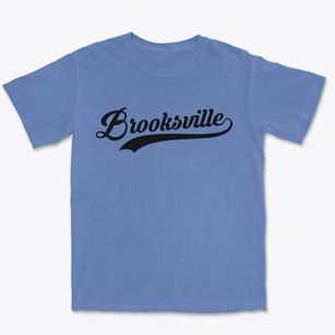 Brooksville Kentucky Vintage Team Premium Heavyweight T-shirt