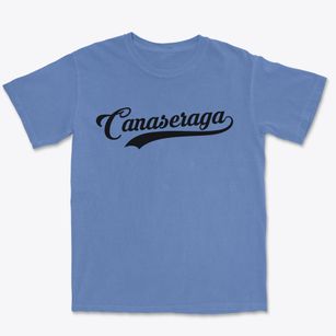 Canaseraga New York Vintage Team Premium Heavyweight T-shirt