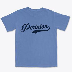 Perinton New York Vintage Team Premium Heavyweight T-shirt