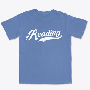 Reading New York Vintage Team Premium Heavyweight T-shirt