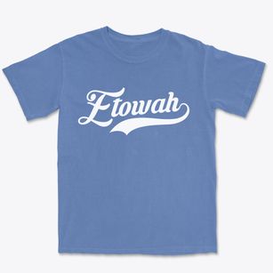 Etowah Arkansas Vintage Team Premium Heavyweight T-shirt