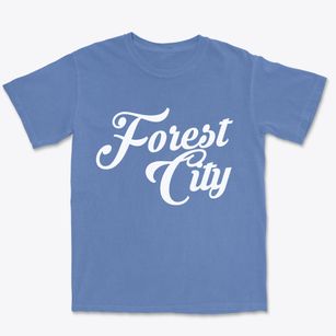 Forest City Missouri Vintage Team Premium Heavyweight T-shirt