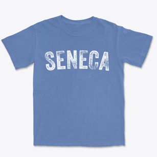 Seneca Missouri Timeless Retro Premium Heavyweight T-shirt