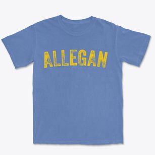 Allegan Michigan Timeless Retro Premium Heavyweight T-shirt