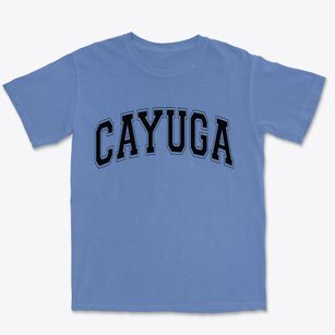 Cayuga New York Varsity Premium Heavyweight T-shirt