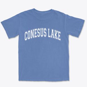 Conesus Lake New York Varsity Premium Heavyweight T-shirt