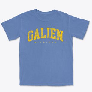 Galien Michigan Urban Vibe Premium Heavyweight T-shirt