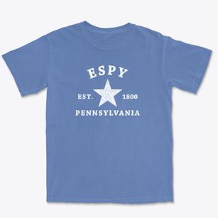 Espy Pennsylvania Star Premium Heavyweight T-shirt