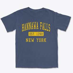 Hannawa Falls New York Classic Established Premium Heavyweight T-shirt