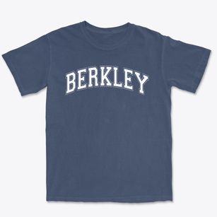 Berkley Community School Varsity Arch Premium Heavyweight T-shirt