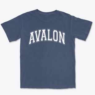 Avalon Elementary School Varsity Arch Premium Heavyweight T-shirt
