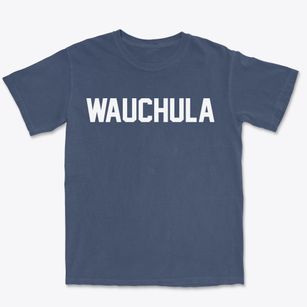 Wauchula Florida Classic Block Premium Heavyweight T-shirt