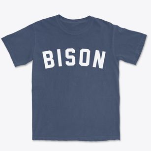 Bison South Dakota Classic Curve Premium Heavyweight T-shirt