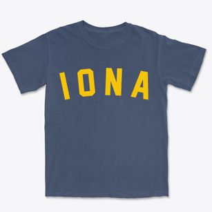 Iona Minnesota Classic Curve Premium Heavyweight T-shirt