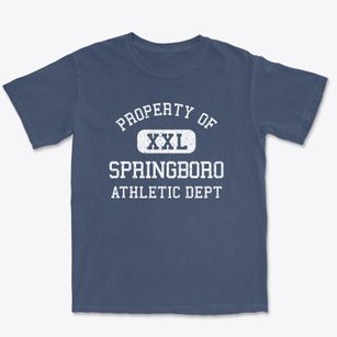 Springboro Pennsylvania Athletic Dept Premium Heavyweight T-shirt