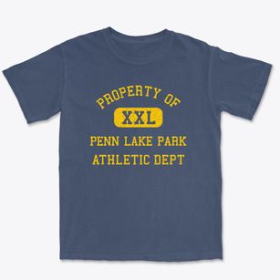 Penn Lake Park Pennsylvania Athletic Dept Premium Heavyweight T-shirt