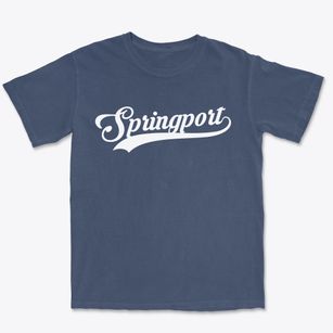 Springport New York Vintage Team Premium Heavyweight T-shirt
