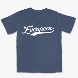 Evergreen Missouri Vintage Team Premium Heavyweight T-shirt