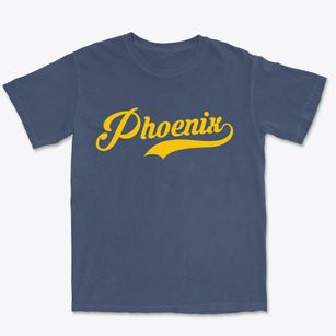 Phoenix Oregon Vintage Team Premium Heavyweight T-shirt