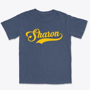 Sharon Wisconsin Vintage Team Premium Heavyweight T-shirt