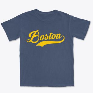 Boston Virginia Vintage Team Premium Heavyweight T-shirt