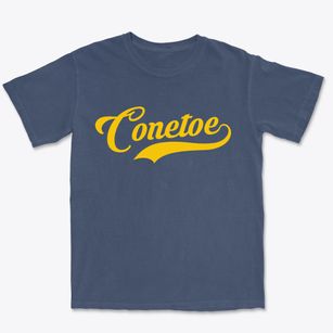 Conetoe North Carolina Vintage Team Premium Heavyweight T-shirt
