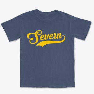 Severn North Carolina Vintage Team Premium Heavyweight T-shirt
