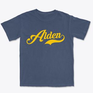 Alden Michigan Vintage Team Premium Heavyweight T-shirt