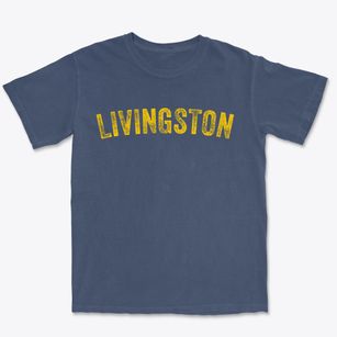 Livingston Louisiana Timeless Retro Premium Heavyweight T-shirt
