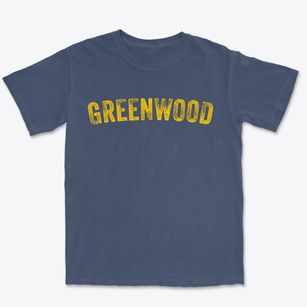 Greenwood Mississippi Timeless Retro Premium Heavyweight T-shirt
