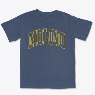 Molino Florida Trendy Block Premium Heavyweight T-shirt