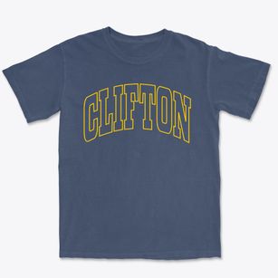 Clifton Virginia Trendy Block Premium Heavyweight T-shirt